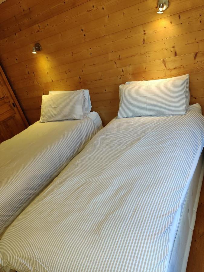 Spacious Ski Chalet In Traditional French Village, Sleeps 8, Four Star With Fibre Broadband Abondance Exterior photo